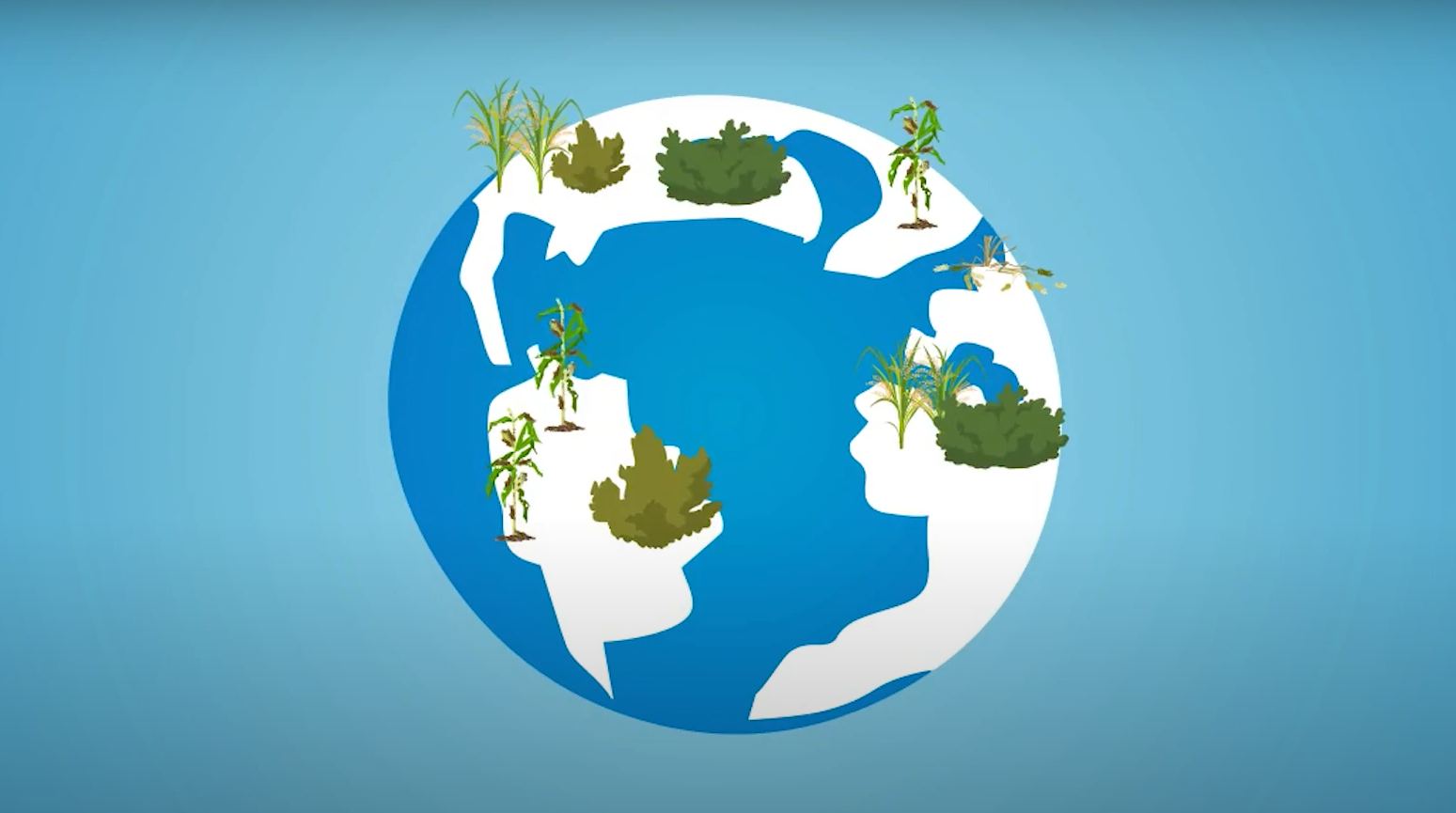 La excepcional historia de las espinosinas